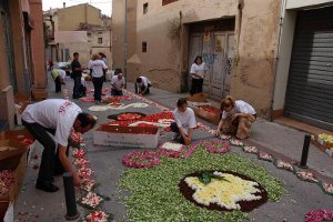 Catifes florals