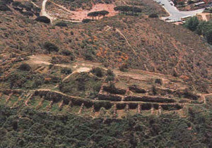 VIII Festa Íbera en el poblado del Puig Castellar General