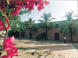 Obertes les inscripcions per als tallers i cursos del Mas Fonollar General